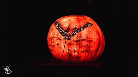 jol_spectacular_2019-100