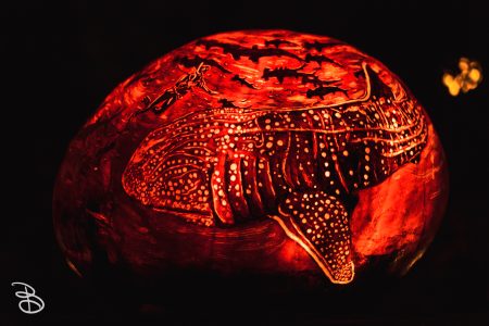 jol_spectacular_2019-22