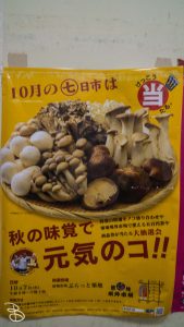 jp_2017__aki-10