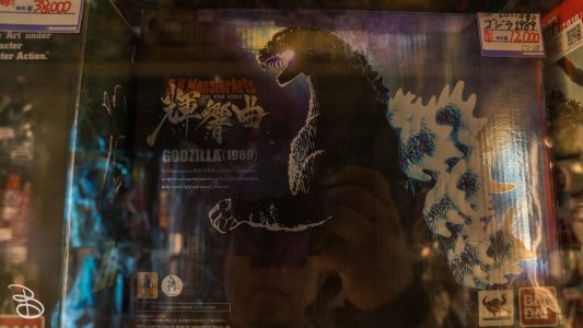 jp_2017__aki-52