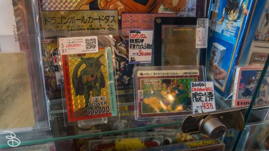 jp_2017__aki-55