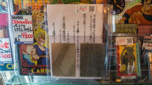 jp_2017__aki-56