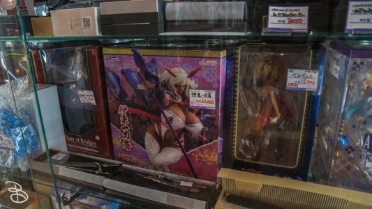 jp_2017__aki-58