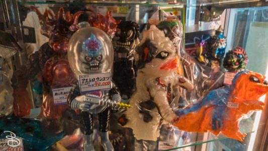 jp_2017__aki-61