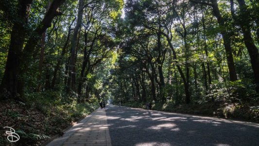 jp_2017__meiji-14