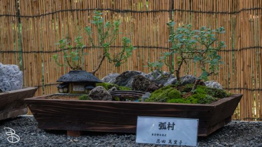 jp_2017__meiji-39