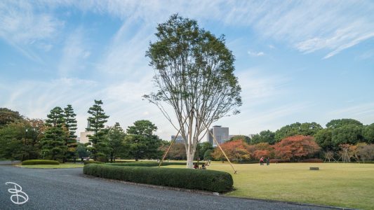 jp_2017__meiji-69
