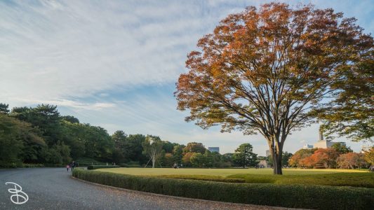 jp_2017__meiji-70