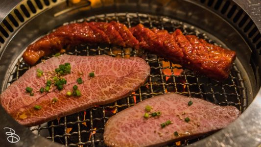 jp_2017__meiji-77