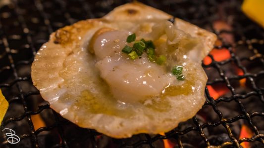 jp_2017__meiji-79