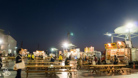 jp_2017__tms-149