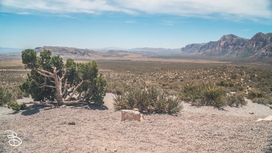 las-vegas-2022-12