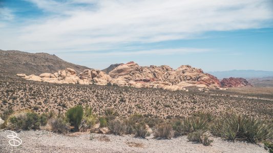 las-vegas-2022-13