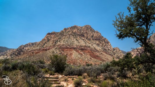 las_vegas_2018-11