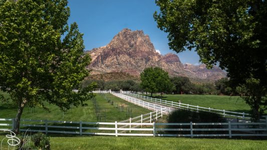 las_vegas_2018-2