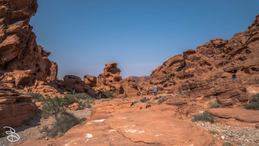 las_vegas_2018-29