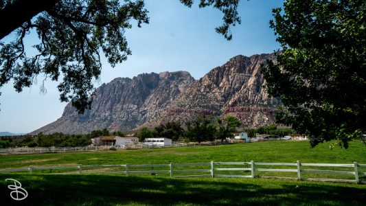 las_vegas_2018-3