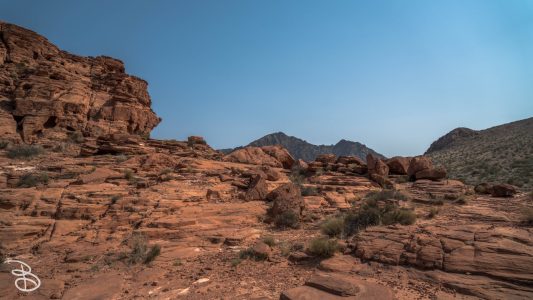 las_vegas_2018-33