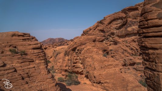 las_vegas_2018-44