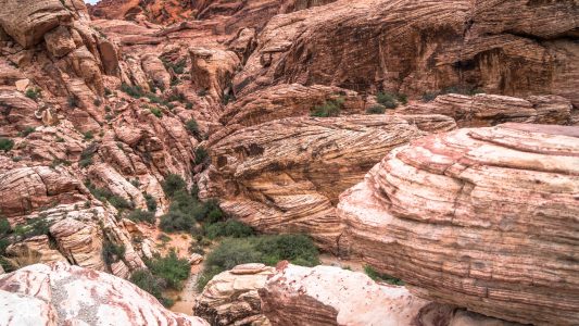 las_vegas_2018-66