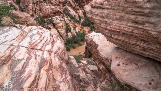 las_vegas_2018-67