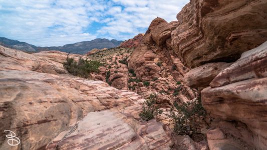 las_vegas_2018-68