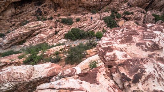 las_vegas_2018-69