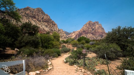 las_vegas_2018-7