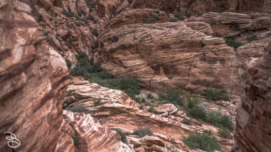 las_vegas_2018-70
