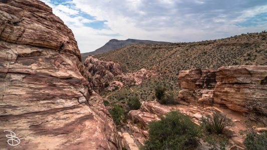 las_vegas_2018-71