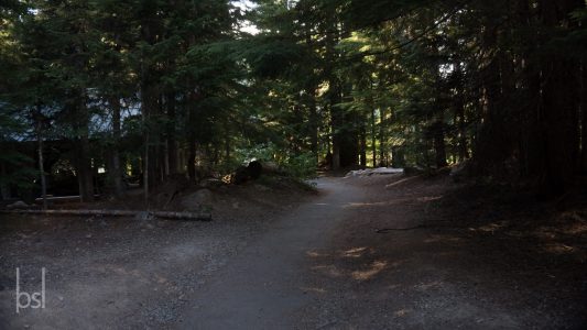 oregon-2017-19