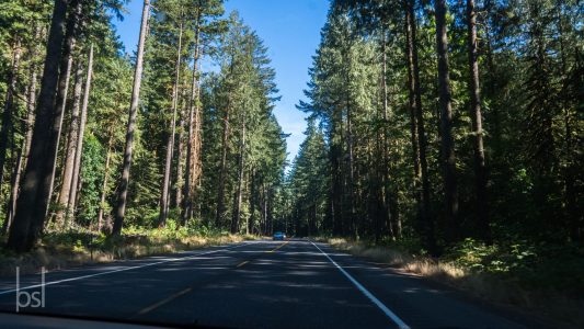 oregon-2017-6