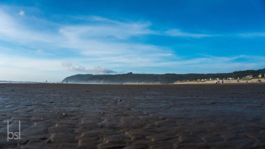 oregon-2017-d3-10