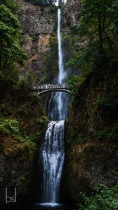 oregon-2017-d4-2