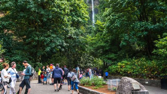 oregon-2017-d4-3