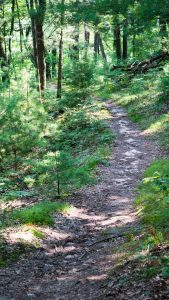 Upper path leading to the top of one of the flights of stairs to head back down to the lower path. Rocky Arbor State Park