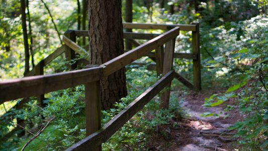 The top of one of the flights of stairs, wooden beams leading the way. Rocky Arbor State Park