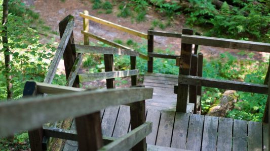 A flight of wooden stairs between the lower and upper hiking paths. Rocky Arbor State Park