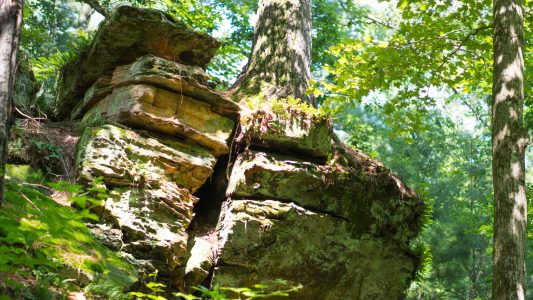 Rock formation with a tree growing from it. Rocky Arbor State Park