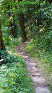 Lower path running near the creek. Rocky Arbor State Park