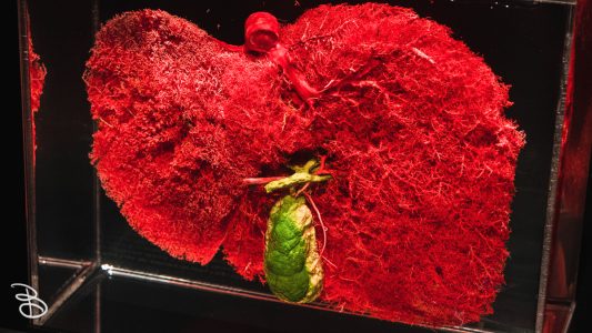 science-museum-body-world-2019-17