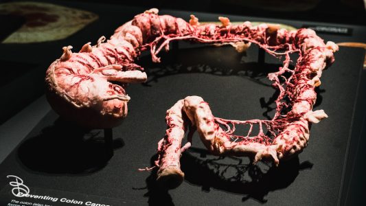 science-museum-body-world-2019-28