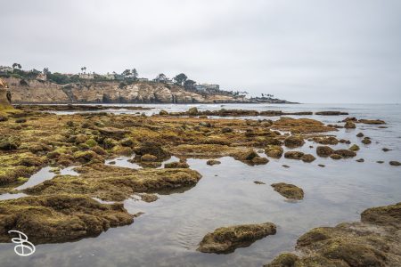 sd-la-jolla-5