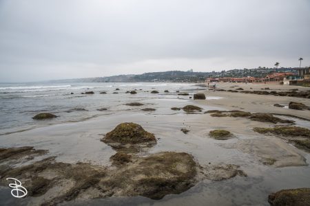 sd-la-jolla-6