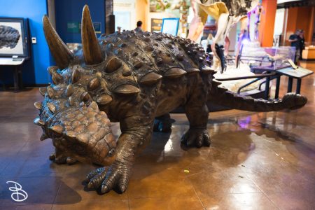 sd-natural-history-museum-13