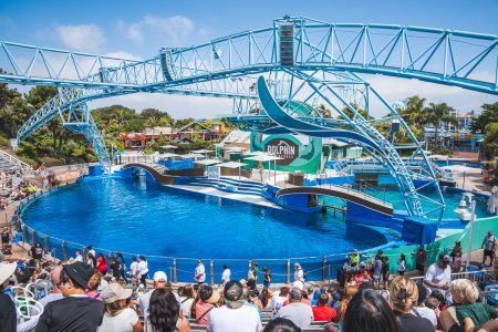 sd-seaworld-17