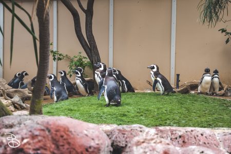sd-seaworld-8
