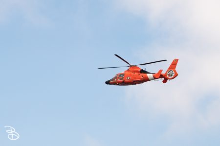 sd-whale-watch-4