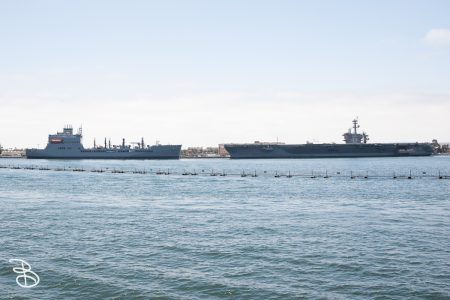 sd-whale-watch-7