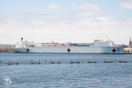 sd-whale-watch-8